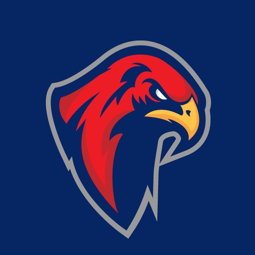 Hawk sports logo
