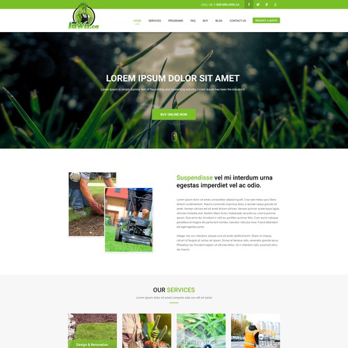 Web template design