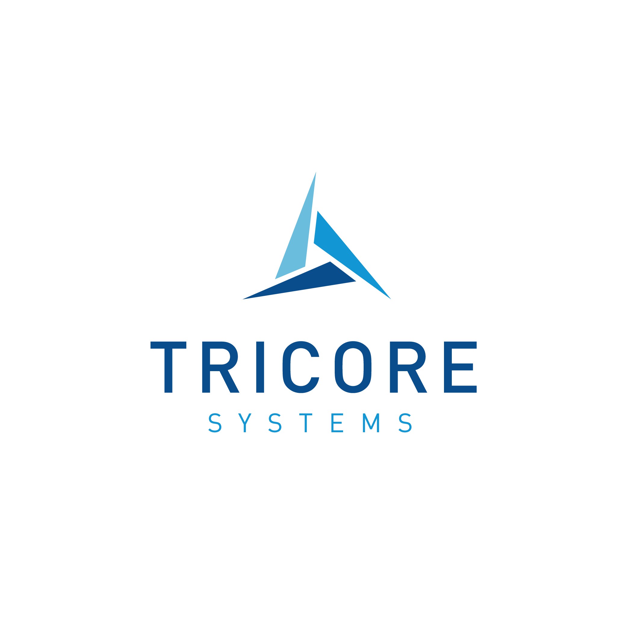 Design of a Modern Custom Logo for a DC based company