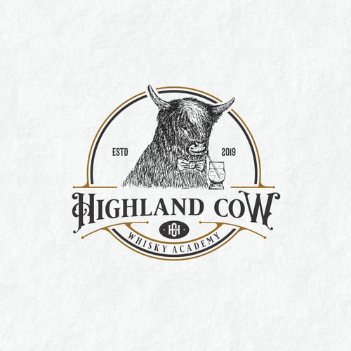 highland cow