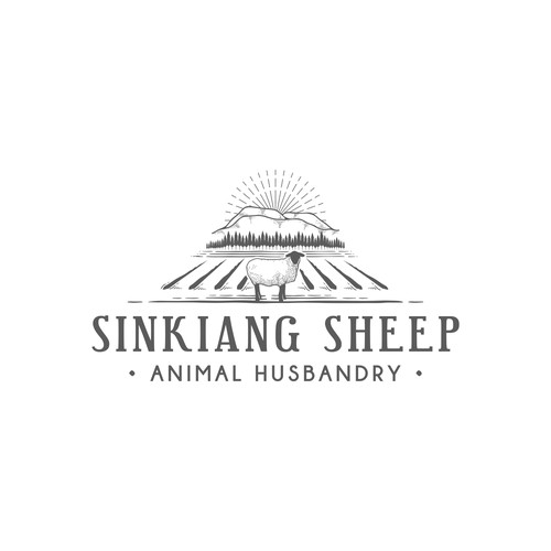 Sinkiang sheep