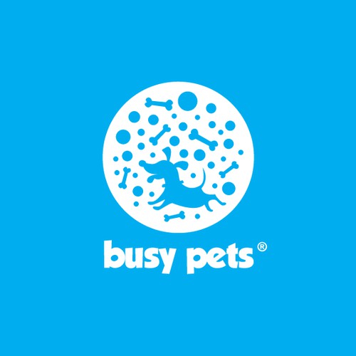 Busy Pets