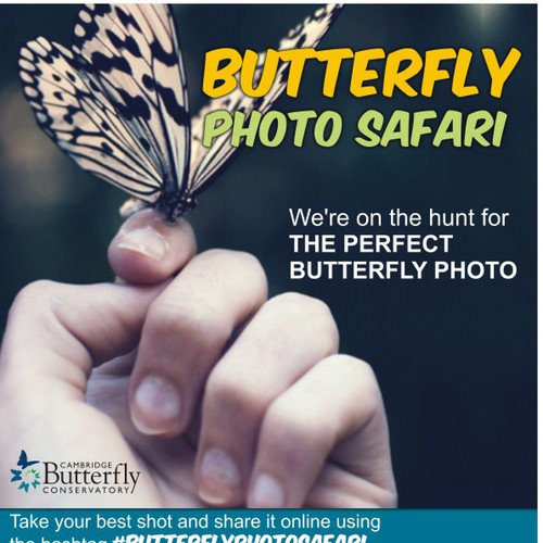 We need a fun and engaging poster for Butterfly Photo Safari!