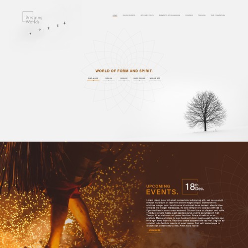 Bridging Worlds Landing page design