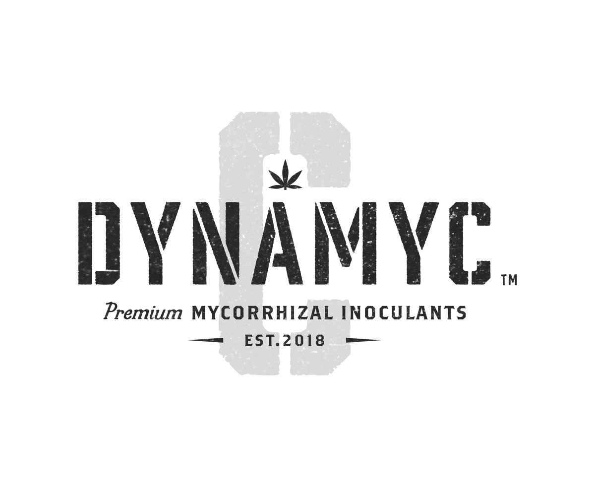 Dynamyc C标志