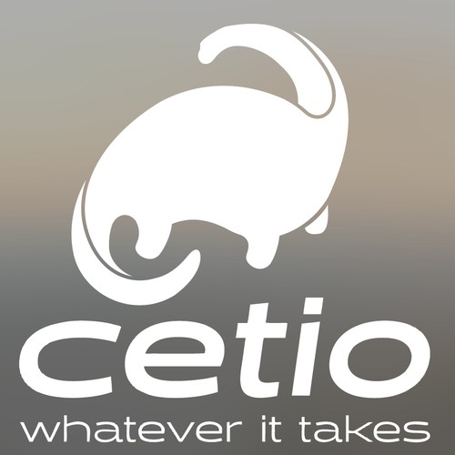 Modern logo concept for Cetio