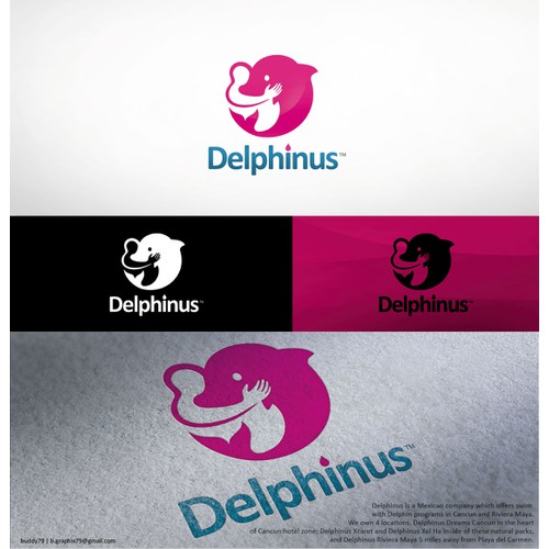 Help Delphinus with a new logo