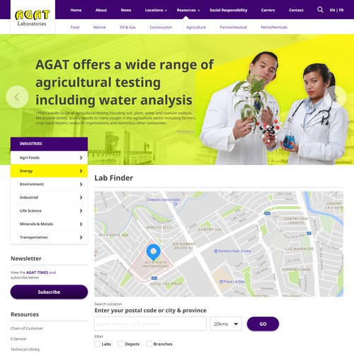 Web Page Design