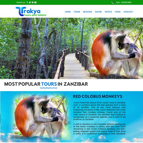 Trakya Tours & Travels