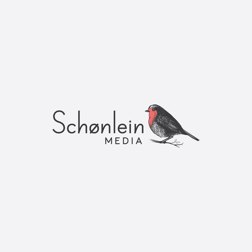 Robin design for Schønlein Media