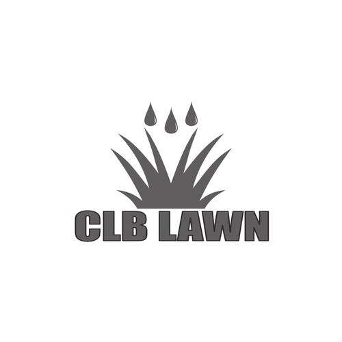clb lawn big 2