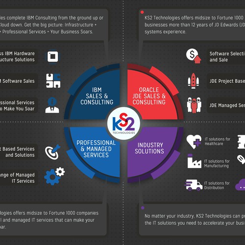 What We Do" Infographic for IT Company