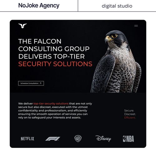 The Falcon Consulting Group — Website Redesign | NoJoke Agency