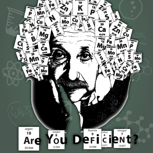 Einstein Nutrient Illustration