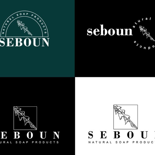 Logo concept for Seboun Natural Soup Products 