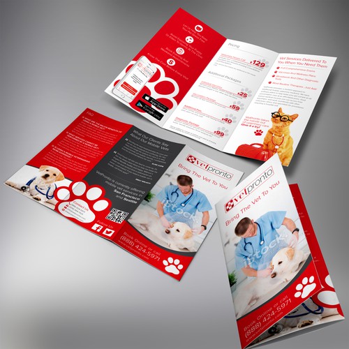 Create a brochure for our startup "VetPronto - Mobile Veterinary Services"