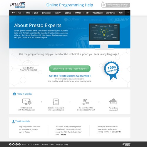 Landing Page for a new expert computer programming website