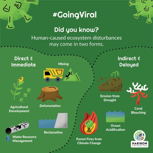 Infographic on environment disturbances