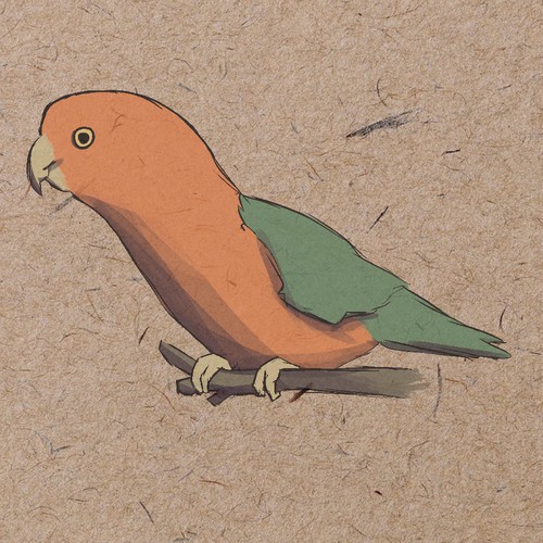 Australian King Parrot 