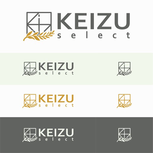 Logo concept for keizu