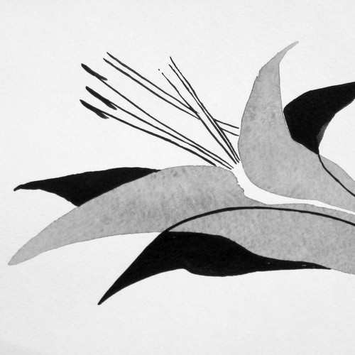 Abstract Lily for Fine Jewelry brand