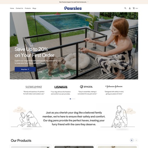 Modern Web Design