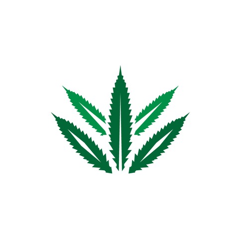 "Y" Hemp Logo Design