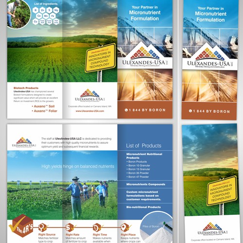 Ulexandes Brochure