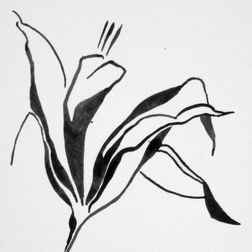 Abstract Lily for Fine Jewelry brand