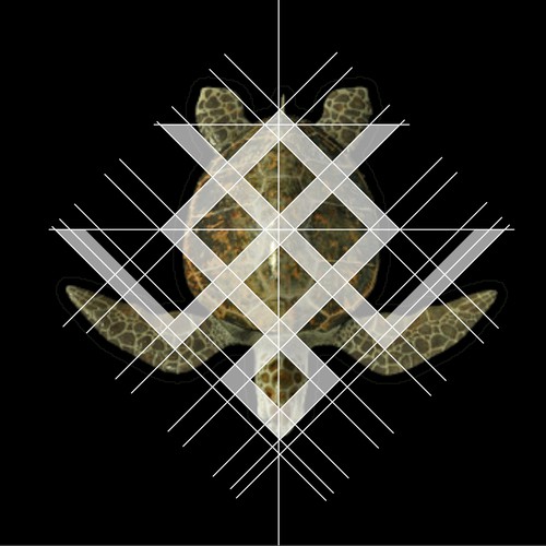 Abstract turtle sea shape with Hidden letter V + W