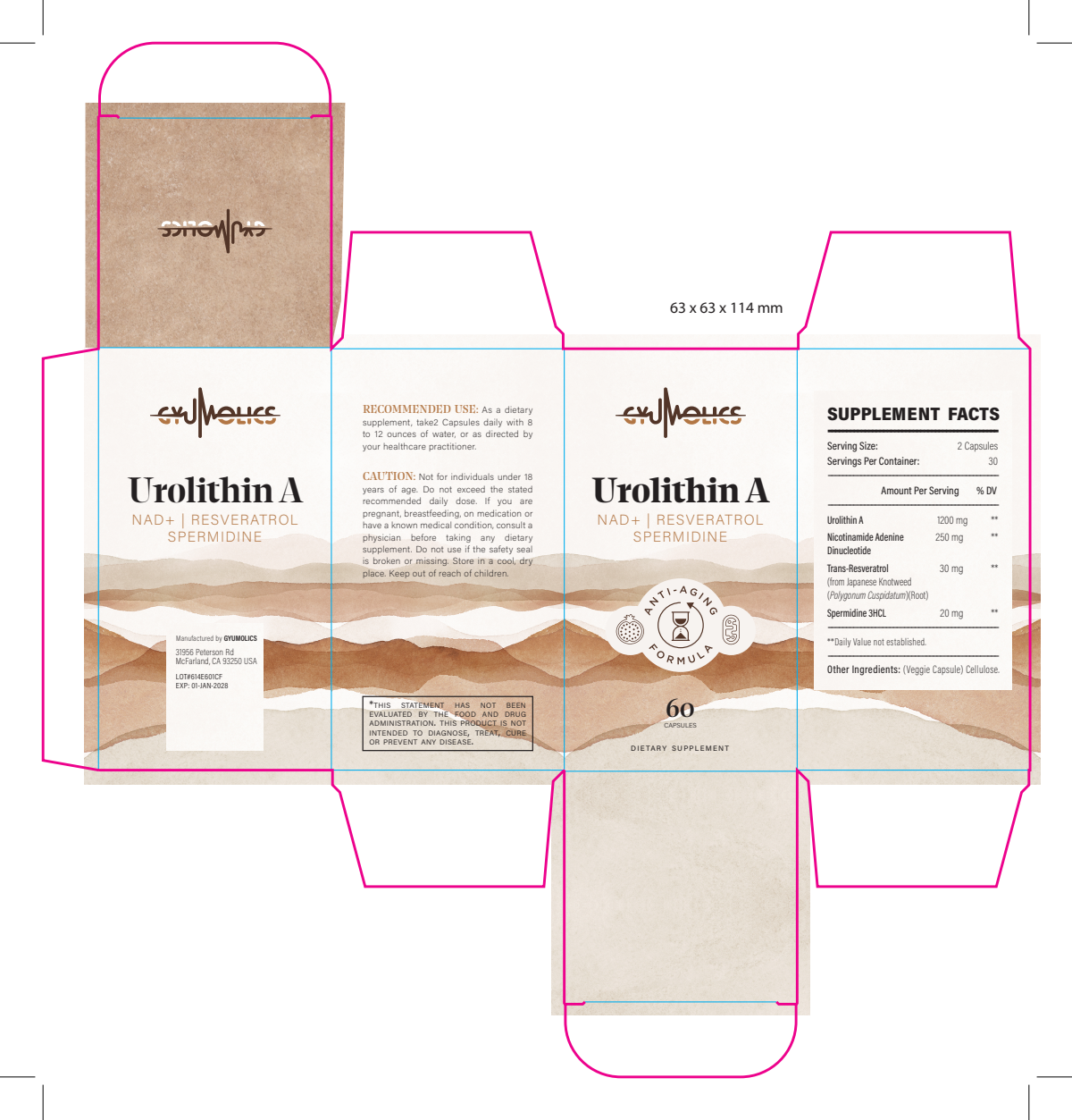 box and label-- Gyumolics-Design Requirement of Urolithin A Anti-Aging