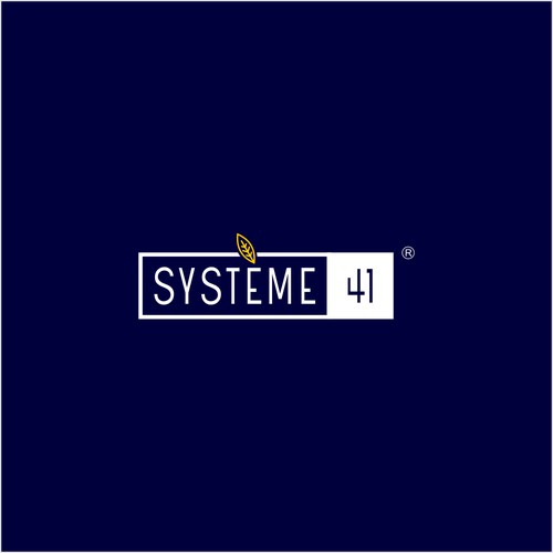 Logo concept for systeme41
