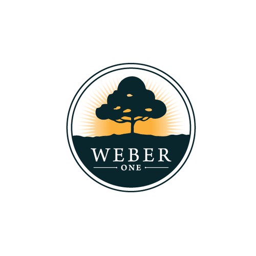 Weber One