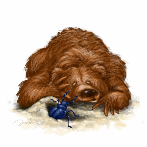 Bear & Beetle 