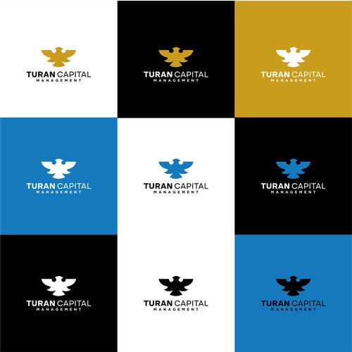 Logo Design Concept For Turan Capital Management