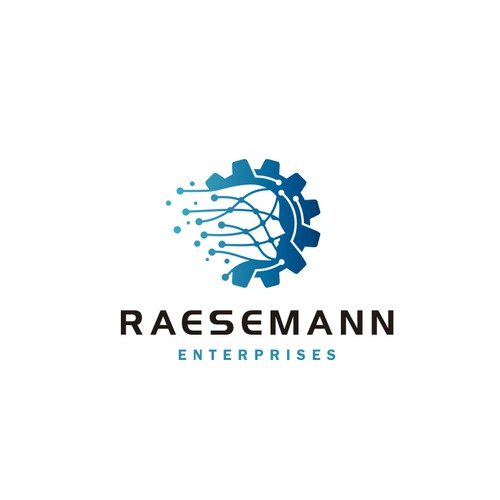 RAESEMANN ENTERPRISES