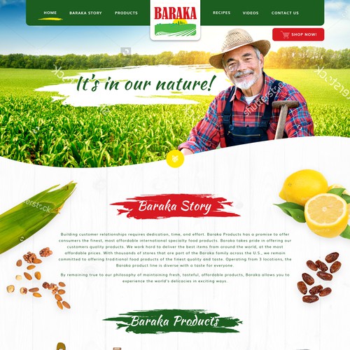 Website concept for Baraka Foods