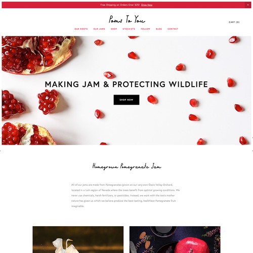 Pomegranate Jam Shop Design