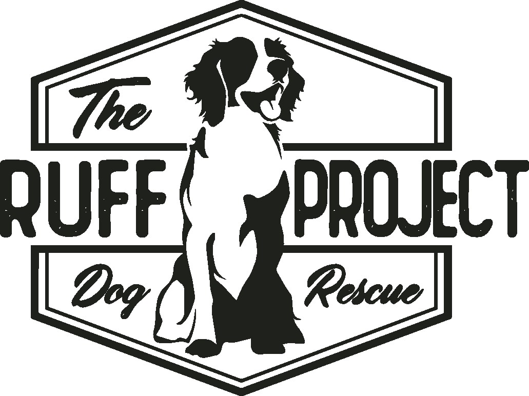 Design a Logo for a Dog Rescue!