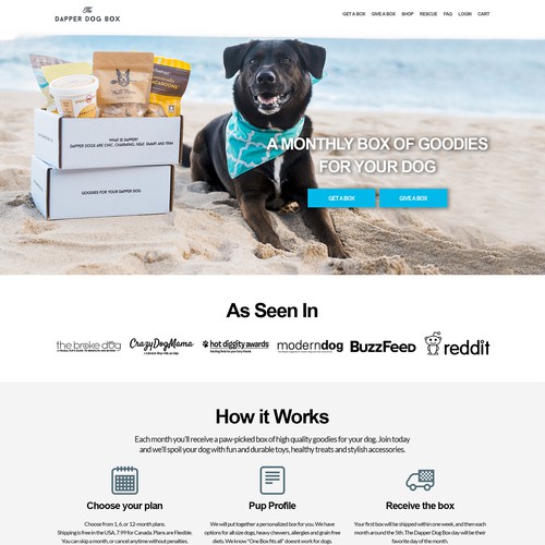 Homepage for an Upscale Startup Pet Subscription Company