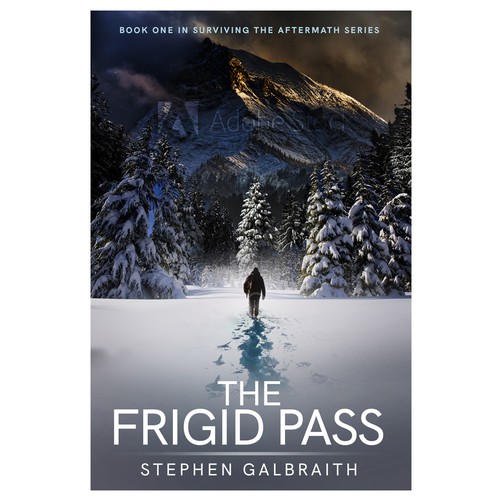 Dark & cold Post-Apocalypse book