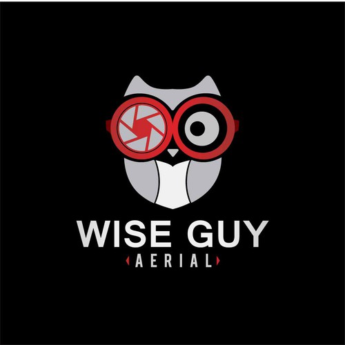 Wise Guy Aerial