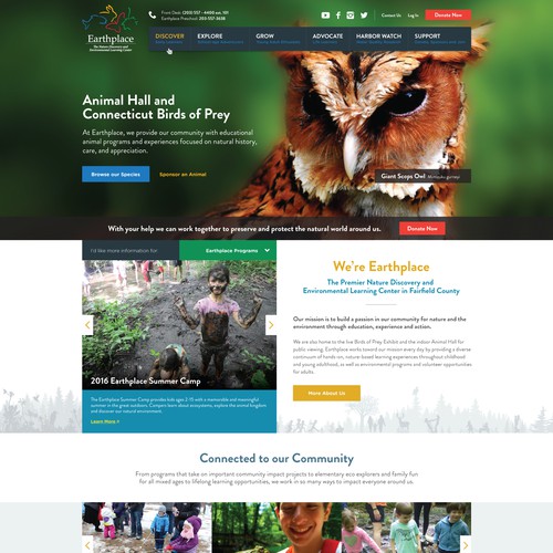 Web Design Concept