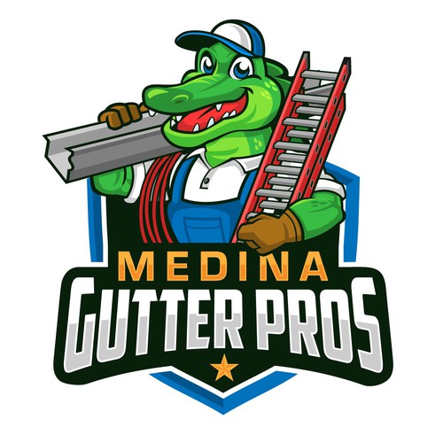 Medina Gutter Pros