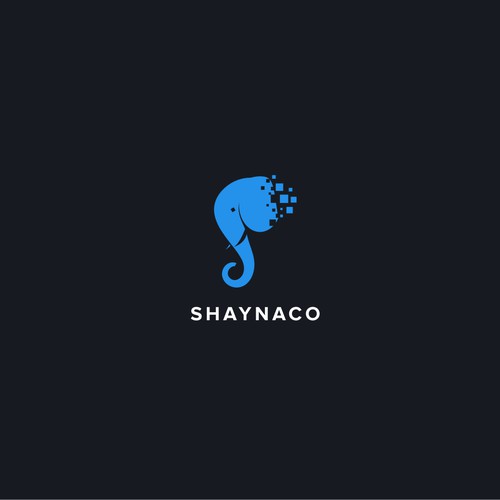 Modern, high-tech accounting firm needs branding.