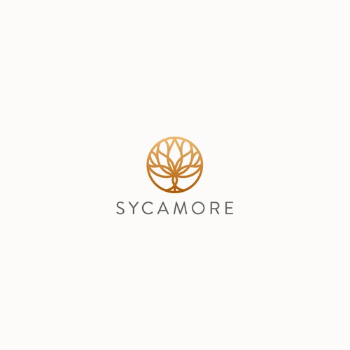 Sycamore