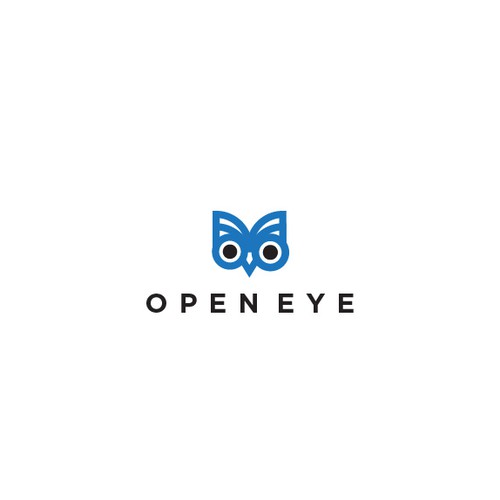 the all seeing owl