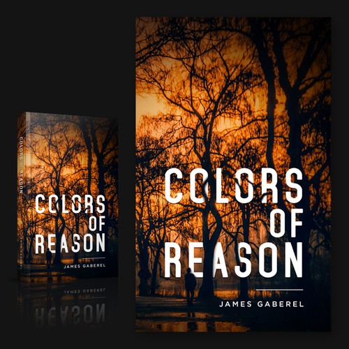 Color of Reason entry 3