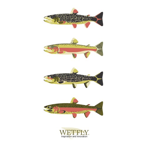 Create the next illustration for Wetfly