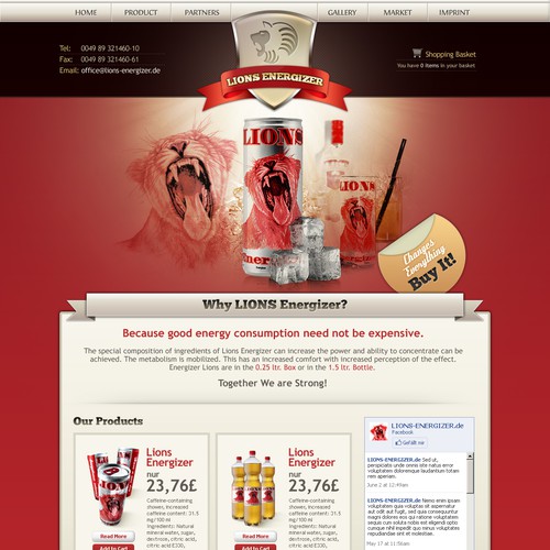 Help Lions Energizer with a new website design